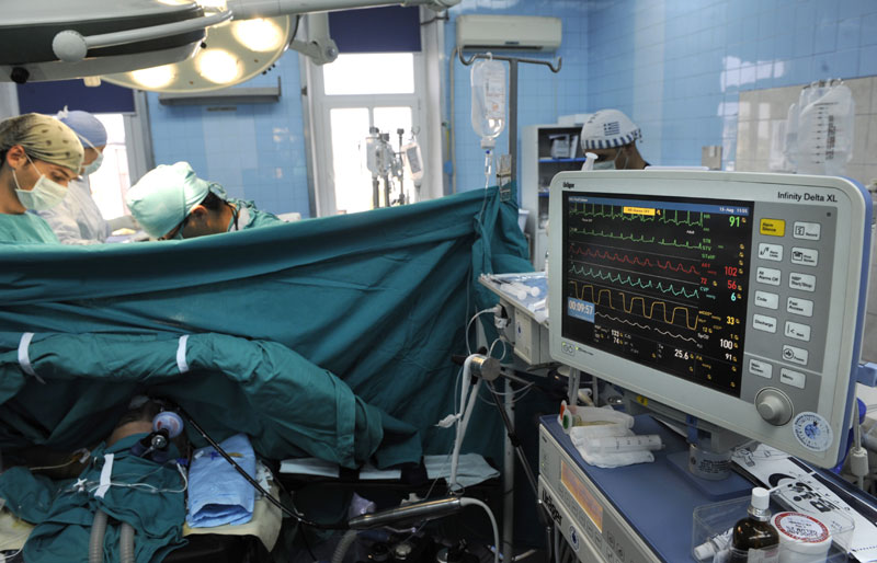 Срчани залистак од црева свиње